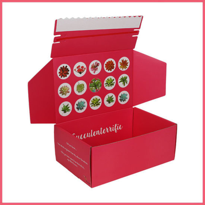 Pantone Color Mailer Shipping Box اللامع مات التصفيح صناديق البريد الملونة
