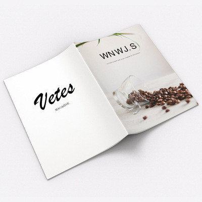 طباعة مجلة Pantone Color Catalog Printing Cmyk 4 Color Offset Magazine Printing